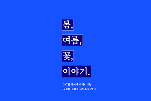 봄, 여름, 꽃, 이야기